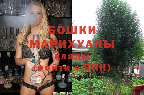 mdma Бородино