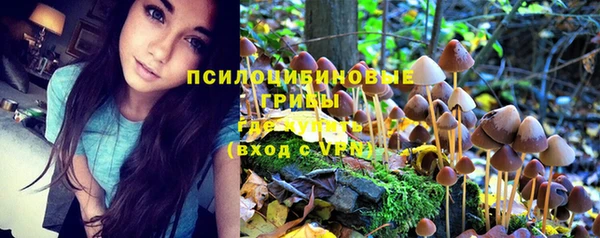 дурь Бронницы