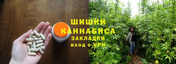 дурь Бронницы