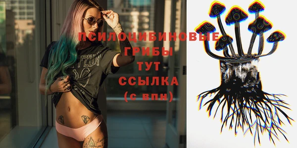 крисы Бугульма
