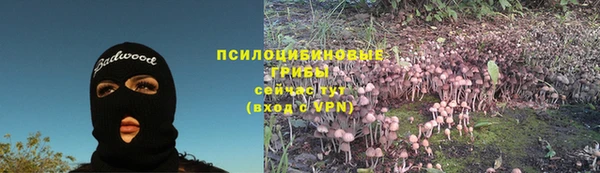 дурь Бронницы
