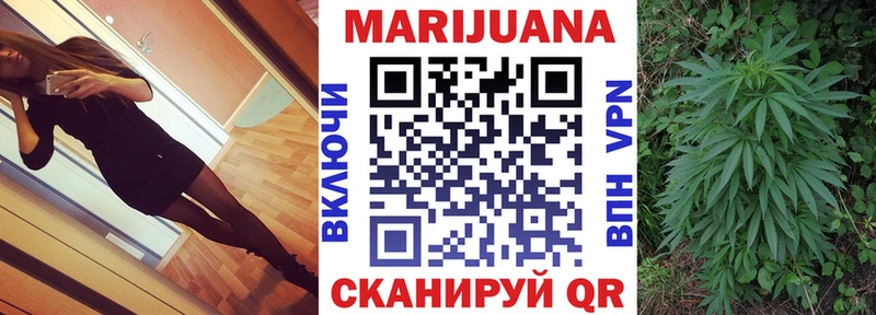 Конопля SATIVA & INDICA  Купить  Лермонтов 